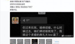 张兰最新爆料聊天记录,揭秘与某明星的惊人聊天记录